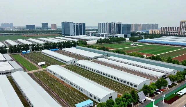 临床诊疗中的技术选型关注点分析